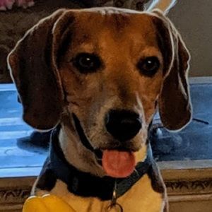 Meet your Posher, Clemente